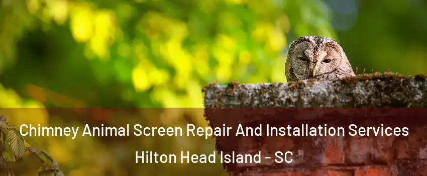  Chimney Animal Screen Repair And Installation Services Hilton Head Island - SC