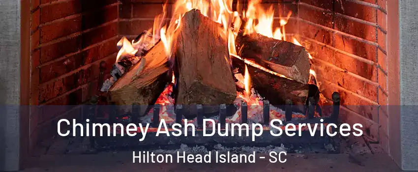  Chimney Ash Dump Services Hilton Head Island - SC