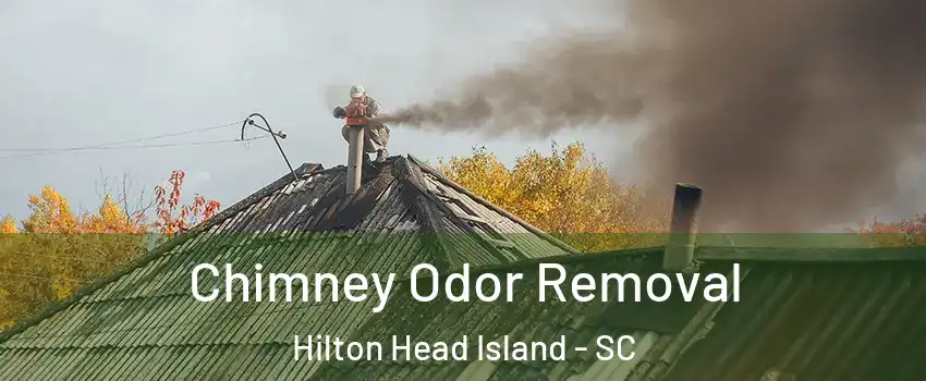  Chimney Odor Removal Hilton Head Island - SC