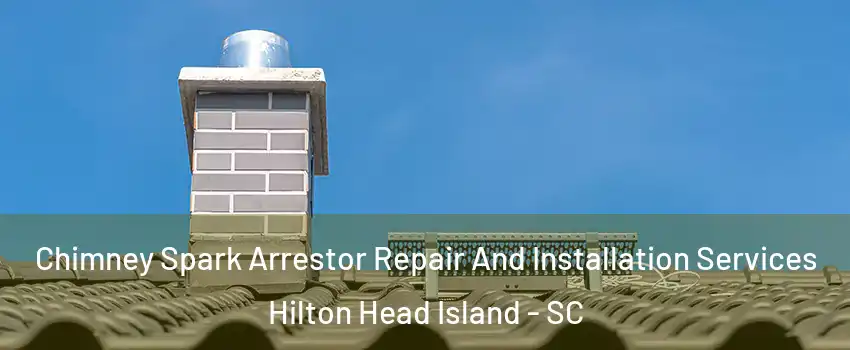  Chimney Spark Arrestor Repair And Installation Services Hilton Head Island - SC