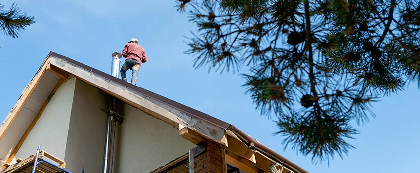 Birds Removal Contractors from Chimney in Hilton Head Island, SC
