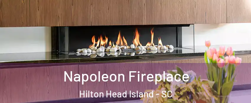  Napoleon Fireplace Hilton Head Island - SC