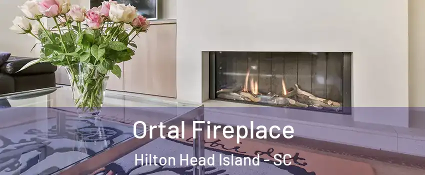 Ortal Fireplace Hilton Head Island - SC