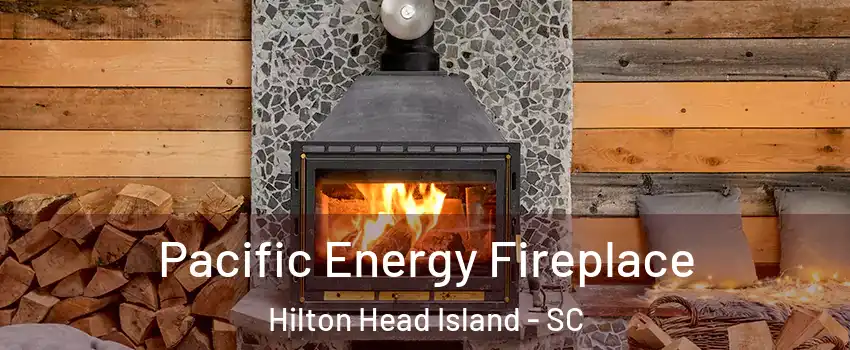  Pacific Energy Fireplace Hilton Head Island - SC